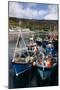 Fishing Boats, Ullapool Harbour, Highland, Scotland-Peter Thompson-Mounted Photographic Print