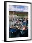 Fishing Boats, Ullapool Harbour, Highland, Scotland-Peter Thompson-Framed Photographic Print