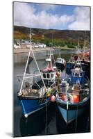 Fishing Boats, Ullapool Harbour, Highland, Scotland-Peter Thompson-Mounted Photographic Print