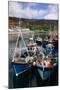 Fishing Boats, Ullapool Harbour, Highland, Scotland-Peter Thompson-Mounted Photographic Print