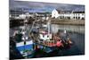 Fishing Boats, Ullapool Harbour, Highland, Scotland-Peter Thompson-Mounted Photographic Print