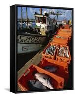 Fishing Boats Unloading, Sagres, Algarve, Portugal, Europe-Neale Clarke-Framed Stretched Canvas