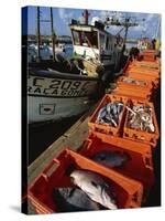 Fishing Boats Unloading, Sagres, Algarve, Portugal, Europe-Neale Clarke-Stretched Canvas