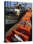 Fishing Boats Unloading, Sagres, Algarve, Portugal, Europe-Neale Clarke-Stretched Canvas