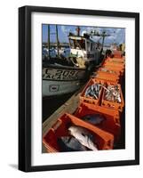 Fishing Boats Unloading, Sagres, Algarve, Portugal, Europe-Neale Clarke-Framed Photographic Print