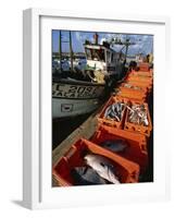 Fishing Boats Unloading, Sagres, Algarve, Portugal, Europe-Neale Clarke-Framed Photographic Print