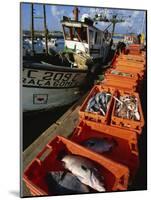 Fishing Boats Unloading, Sagres, Algarve, Portugal, Europe-Neale Clarke-Mounted Photographic Print