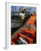 Fishing Boats Unloading, Sagres, Algarve, Portugal, Europe-Neale Clarke-Framed Photographic Print