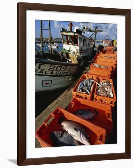 Fishing Boats Unloading, Sagres, Algarve, Portugal, Europe-Neale Clarke-Framed Photographic Print