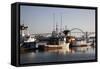 Fishing Boats with Yaquina Bay Bridge in Background, Newport, Oregon, USA-Jamie & Judy Wild-Framed Stretched Canvas