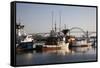 Fishing Boats with Yaquina Bay Bridge in Background, Newport, Oregon, USA-Jamie & Judy Wild-Framed Stretched Canvas