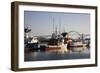 Fishing Boats with Yaquina Bay Bridge in Background, Newport, Oregon, USA-Jamie & Judy Wild-Framed Photographic Print