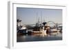 Fishing Boats with Yaquina Bay Bridge in Background, Newport, Oregon, USA-Jamie & Judy Wild-Framed Photographic Print