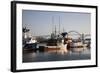 Fishing Boats with Yaquina Bay Bridge in Background, Newport, Oregon, USA-Jamie & Judy Wild-Framed Photographic Print