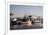 Fishing Boats with Yaquina Bay Bridge in Background, Newport, Oregon, USA-Jamie & Judy Wild-Framed Photographic Print