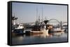 Fishing Boats with Yaquina Bay Bridge in Background, Newport, Oregon, USA-Jamie & Judy Wild-Framed Stretched Canvas