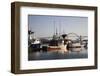 Fishing Boats with Yaquina Bay Bridge in Background, Newport, Oregon, USA-Jamie & Judy Wild-Framed Photographic Print