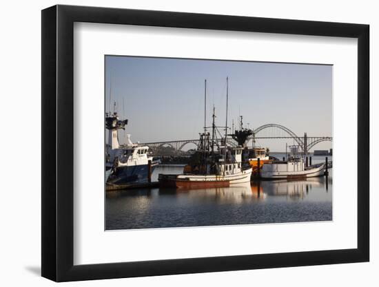 Fishing Boats with Yaquina Bay Bridge in Background, Newport, Oregon, USA-Jamie & Judy Wild-Framed Photographic Print