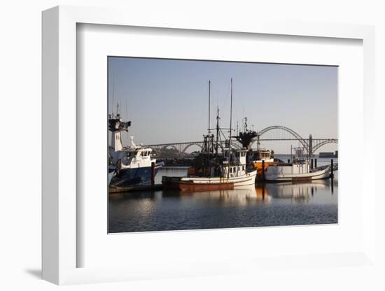 Fishing Boats with Yaquina Bay Bridge in Background, Newport, Oregon, USA-Jamie & Judy Wild-Framed Photographic Print