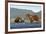 Fishing Brown Bear and Cubs, Katmai National Park, Alaska-Paul Souders-Framed Photographic Print