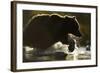 Fishing Brown Bear, Katmai National Park, Alaska-null-Framed Photographic Print