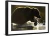 Fishing Brown Bear, Katmai National Park, Alaska-null-Framed Photographic Print