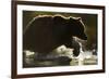 Fishing Brown Bear, Katmai National Park, Alaska-null-Framed Photographic Print