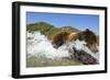 Fishing Brown Bear, Katmai National Park, Alaska-Paul Souders-Framed Photographic Print