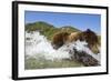 Fishing Brown Bear, Katmai National Park, Alaska-Paul Souders-Framed Photographic Print