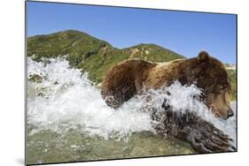 Fishing Brown Bear, Katmai National Park, Alaska-Paul Souders-Mounted Photographic Print