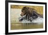 Fishing Brown Bear, Katmai National Park, Alaska-Paul Souders-Framed Photographic Print