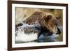 Fishing Brown Bear, Katmai National Park, Alaska-Paul Souders-Framed Photographic Print