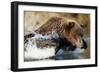 Fishing Brown Bear, Katmai National Park, Alaska-Paul Souders-Framed Photographic Print