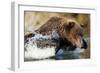 Fishing Brown Bear, Katmai National Park, Alaska-Paul Souders-Framed Photographic Print