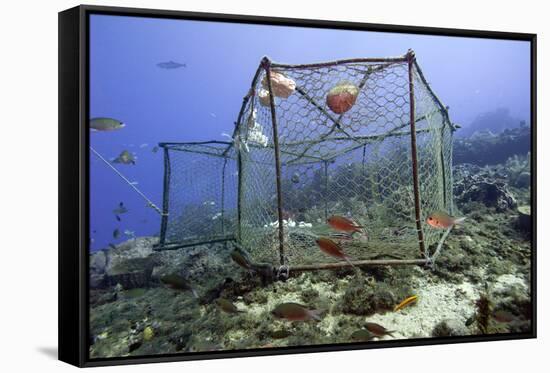 Fishing Cage in Dominica, West Indies, Caribbean, Central America-Lisa Collins-Framed Stretched Canvas