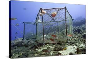 Fishing Cage in Dominica, West Indies, Caribbean, Central America-Lisa Collins-Stretched Canvas