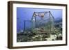 Fishing Cage in Dominica, West Indies, Caribbean, Central America-Lisa Collins-Framed Photographic Print