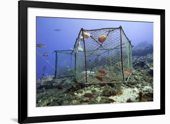 Fishing Cage in Dominica, West Indies, Caribbean, Central America-Lisa Collins-Framed Photographic Print