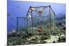 Fishing Cage in Dominica, West Indies, Caribbean, Central America-Lisa Collins-Mounted Photographic Print