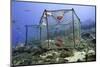 Fishing Cage in Dominica, West Indies, Caribbean, Central America-Lisa Collins-Mounted Photographic Print
