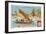 Fishing, Caroline Islands-null-Framed Giclee Print