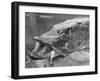 Fishing Catch-null-Framed Photographic Print