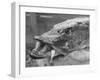 Fishing Catch-null-Framed Photographic Print