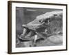 Fishing Catch-null-Framed Photographic Print