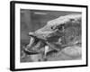 Fishing Catch-null-Framed Photographic Print