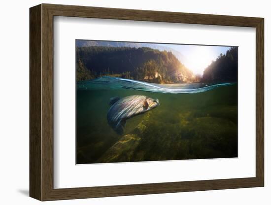 Fishing. Close-Up Shut of a Fish Hook under Water-Rocksweeper-Framed Photographic Print