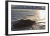 Fishing Cone Geyser with Freezing Mists-Eleanor-Framed Photographic Print