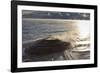 Fishing Cone Geyser with Freezing Mists-Eleanor-Framed Photographic Print