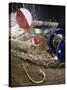 Fishing Equipment in a Box-null-Stretched Canvas