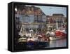 Fishing Fleet in Harbour, Whitby, North Yorkshire, England, United Kingdom, Europe-Waltham Tony-Framed Stretched Canvas